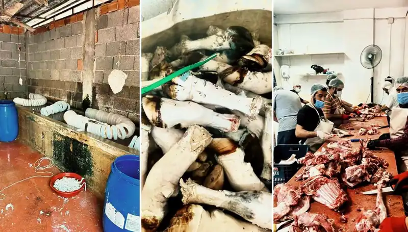 Adana'da Sağlık Skandalı: Yüzlerce Kilo Paça Ele Geçirildi!