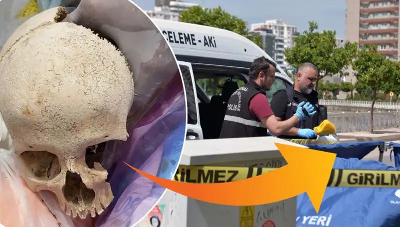 Çöp Tenekesinden Çıkan Kafatasının Gizemi: Uzman Doktor Gözaltında