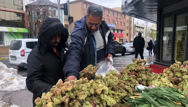 Kendiliğinden Yetişen Şifalı Bitki: Kanserle Mücadelede Yeni Umut!
