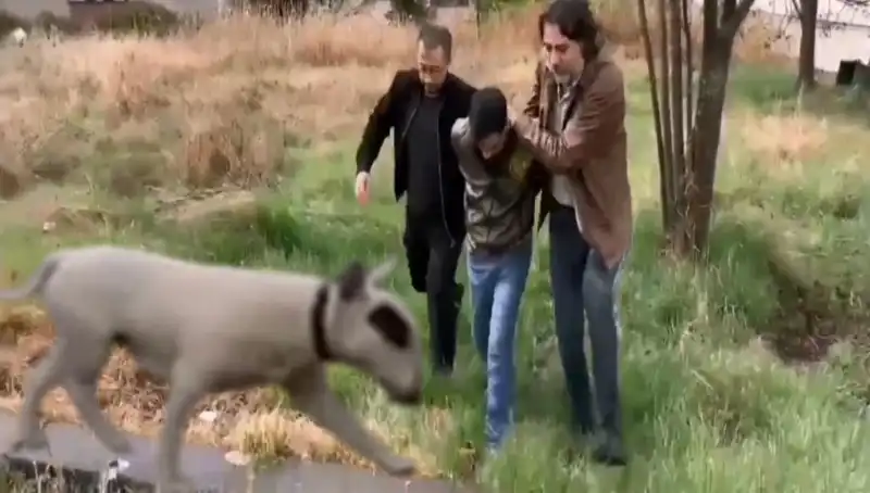 Türkiye'nin En Değerli Şampiyon Köpeği Çalındı: Hırsız Yakalandı!