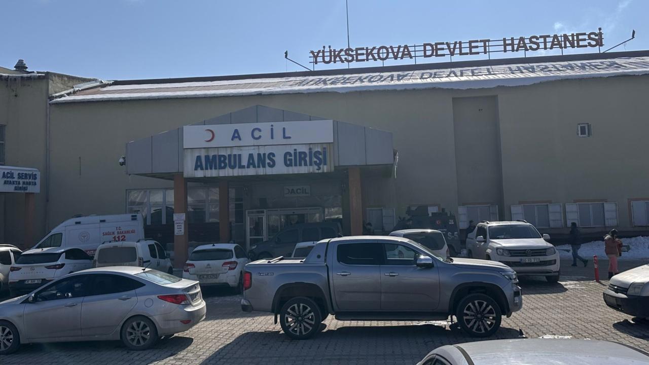 Hakkari'de Çocuğu Köpeklerin Saldırdığı Olay