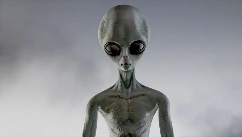 Pentagon'un Uzaylı Türleri Açıklaması: UFO Operatörleri Gerçekten Onlar mı?