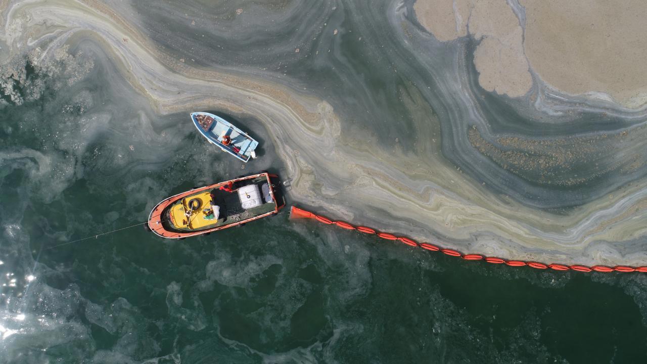 Marmara Denizi'nde Müsilaj Krizi Devam Ediyor