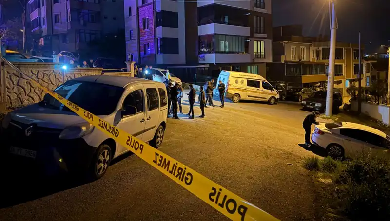 Sakarya'da Kanlı Gecenin Ardında Yatan Nedenler ve Sonuçları