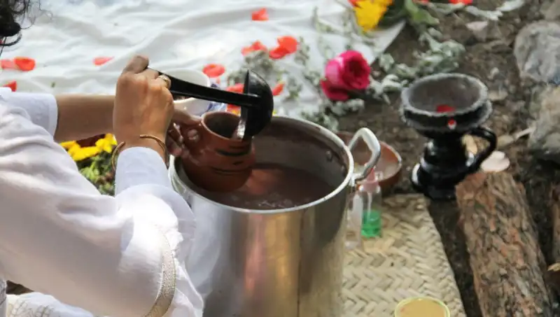 Ayahuasca: Gizemli Şifa İçin Doğanın İhtişamı mı, Yoksa Yasaklı Bir Sır mı?