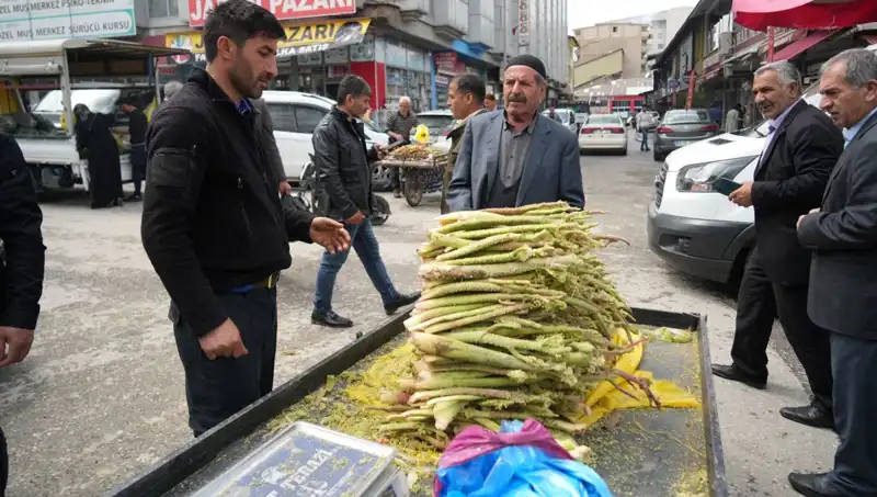 Dağlık Kesimlerin Gizli Sırrı: Şekerin Faydaları Gözler Önünde!