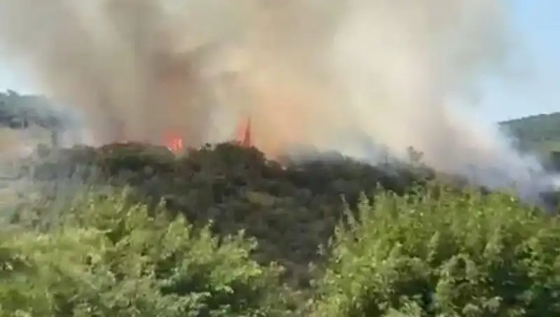 İstanbul’da Orman Yangını: Acil Tahliye Uygulaması ve Son Gelişmeler