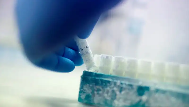 Tıbbi Felaket: Birkaç Sperm Donörü Binlerce Çocuğa Baba Oldu