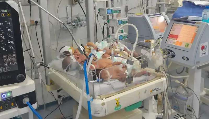 Gazzeli Doktorların Çağrısı: "Birden Fazla Bebek Aynı Kuvözde Hayata Tutunmaya Çalışıyor"