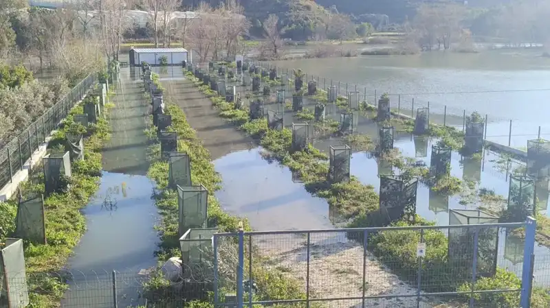 Irmak Taşınca Otoyol Şantiyesi Sular Altında Kaldı: Kentte Panik Havası Çöktü