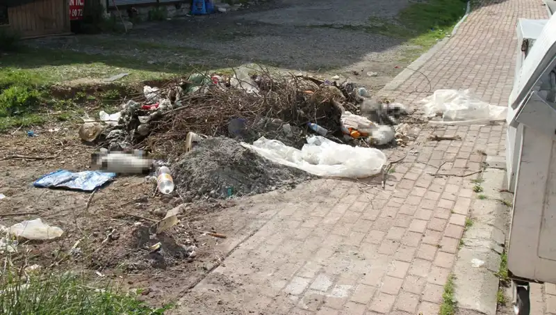 Antalya'da Kedi Vahşeti: 10 Kedi Ölü Bulundu, Soruşturma Açıldı