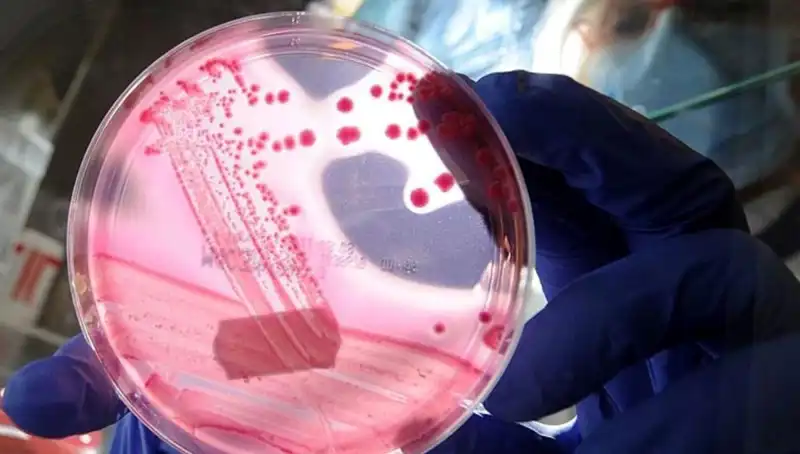 Yaşlanmayı Geri Almanın Sırrı: AP2A1 Proteinini Keşfetti!