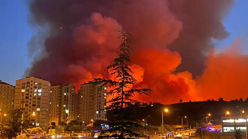 Bursa'da Sonunda Patlayan Yangınlar Vatandaşları Korkuttu!