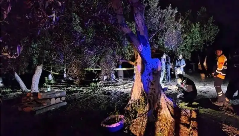 Çiftlikte Baltalı Vahşet: Olayın Ardındaki Gerçek ve Gelişmeler