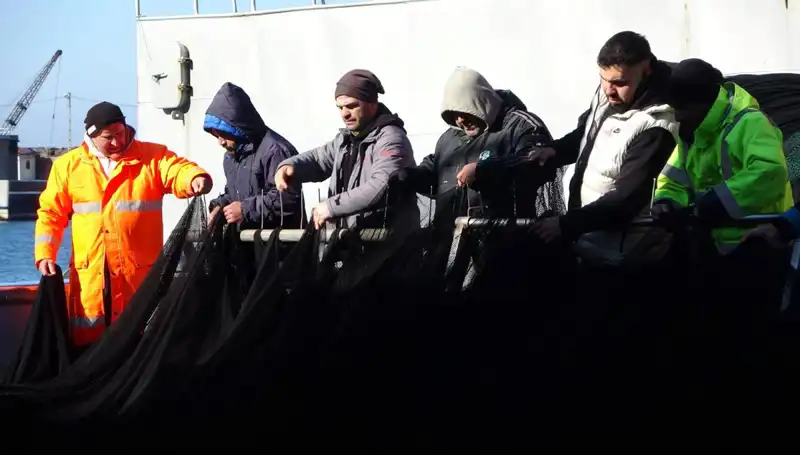 Hamsi Avında Şok Gelişme: Denizlerde Hamsi Bitti, Tekne Sahipleri Ne Olacak?