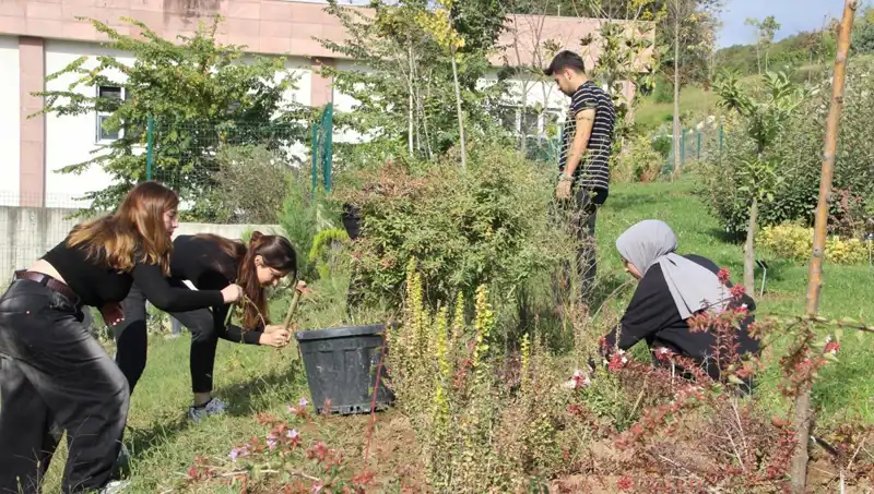 Düzce'nin Yıldızları: Hayali Gerçekleştiren Global Başarı Hikayesi