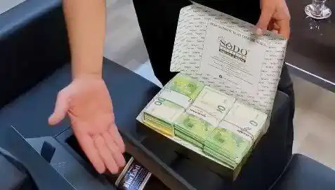 Manavgat Belediyesi'nde Şok Operasyon: Baklava Kutularında Saklanan Avrolar