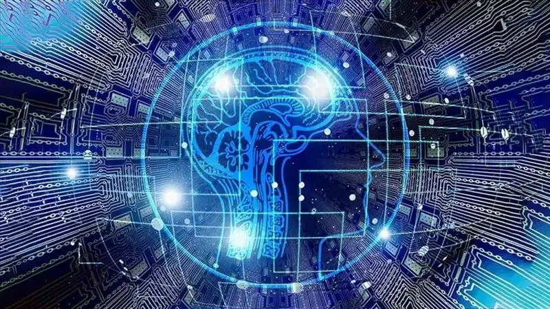 Kripto Para Dünyasında Şok: Bot Sürüleri Dolandırıcılığa Mi Karışıyor?