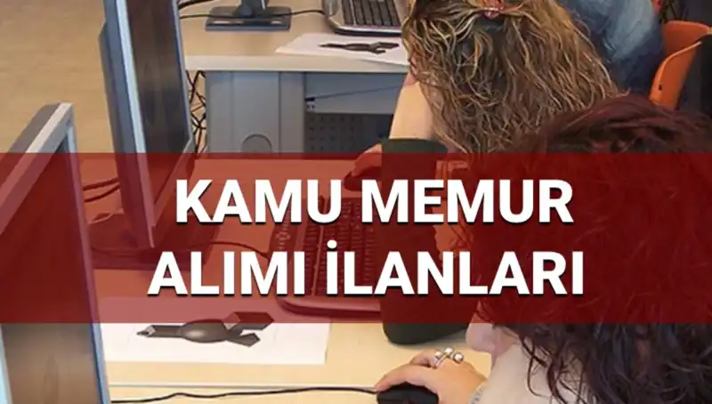2025 Kamu Personel Alımları: Hangi Kurumlar, İçerikler ve Kontenjanlar?
