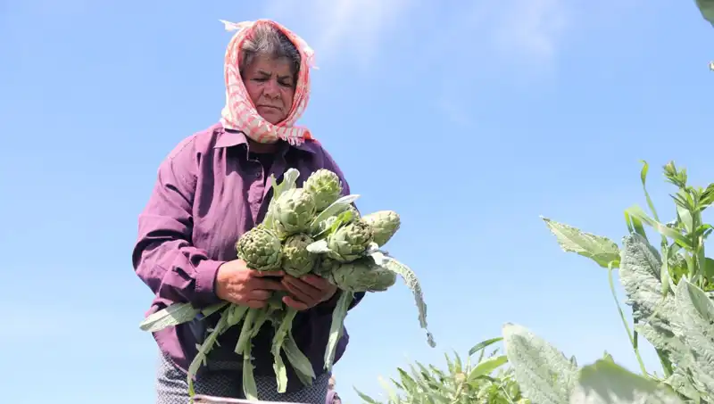 Çiftçinin Ürünü Tarladan Sofraya, Tezgahta Fiyatlar Uçuşta!