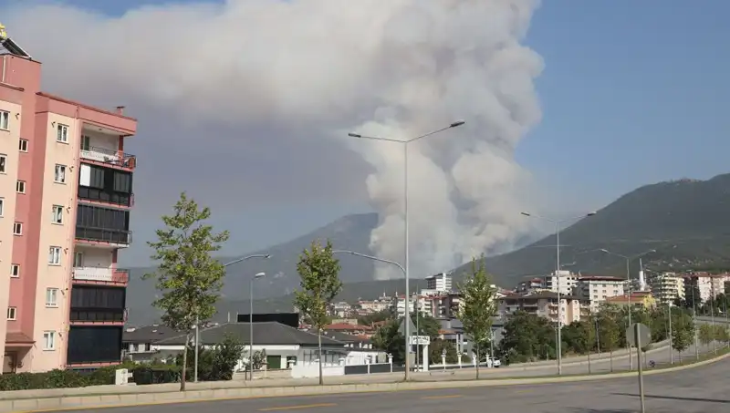 Denizli'de Yangın, Şüpheli Gözaltında: Ormanları Kötü Kuralar Bekliyor