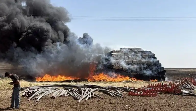 Mardin'de Anız Yangını: Doğa ve Tarım Üzerindeki Etkileri