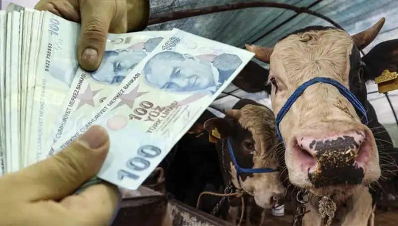 Kurban Bayramı Öncesi Maaş Ödemeleri Hakkında Tüm Ayrıntılar