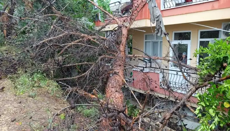 Yağmur Sonrası Felaket: Bina Sadece Suyun Ağırlığıyla Yıkıldı
