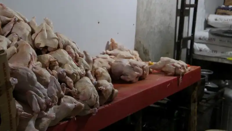 Döner İmalathanesinde Mide Bulandıran Görüntüler: Gerçekler Ne Kadar Korkutucu?