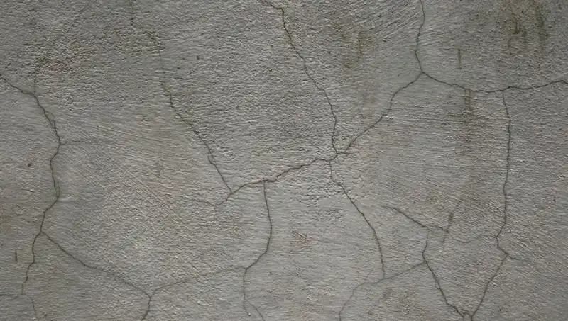 Canlı Beton: Yapıların Geleceğini Değiştiren İnovasyon