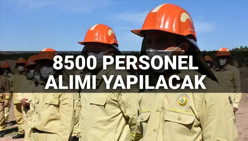 2025 Yılında Tarım ve Orman Bakanlığı 8500 Personel Alımına Dair Tüm Merak Edilenler