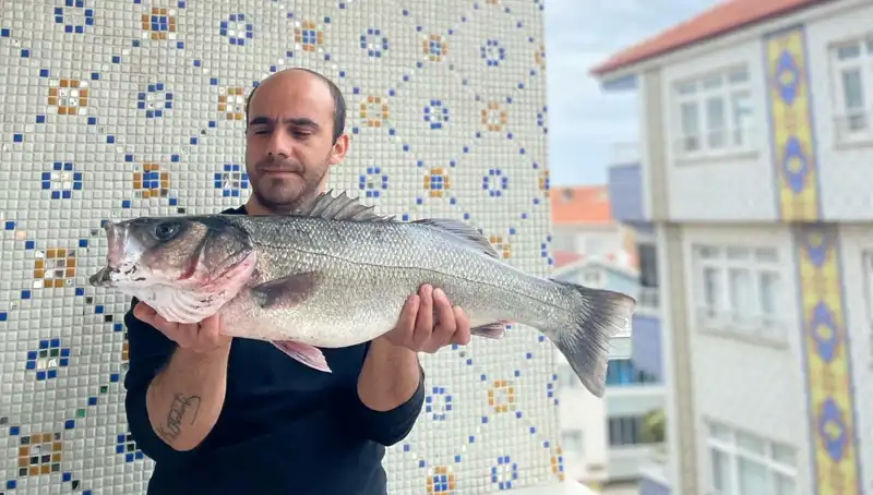 Türkiye'nin Karadeniz'inde 7,5 Kiloluk Dev Levrek Avlandı