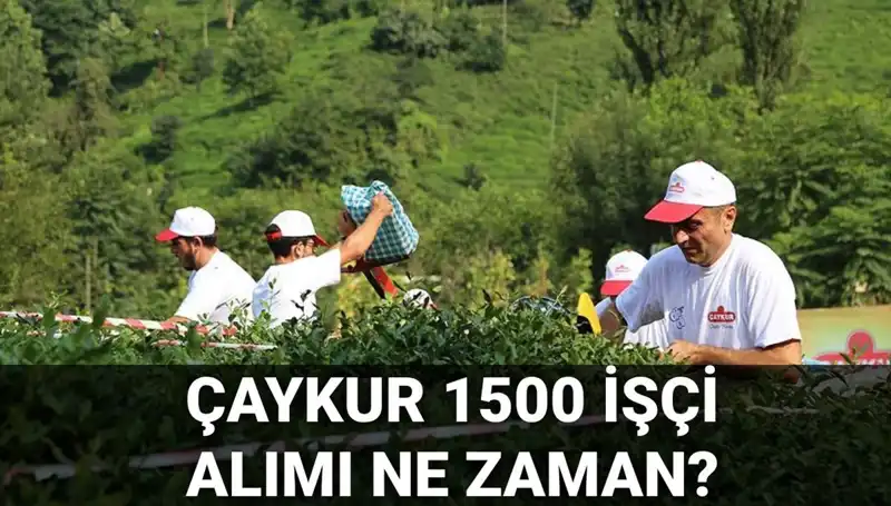 Çaykur İşçi Alımı Başvuru Tarihleri Açıklandı: Son Gelişmeler Neler?