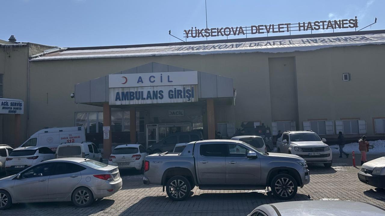 Müfettiş, başıboş köpeklerin saldırısı sonucu ölen çocuğun ölümünü araştıracak.