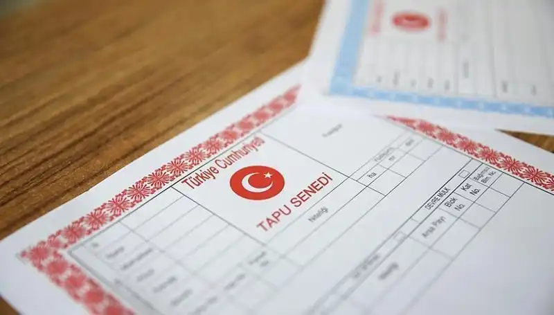 Hisseli Tapu Yalanı: 100 Milyonluk Dolandırıcılık Ağı Ortaya Çıktı